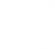 Zehnder